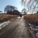 하천(유등천(4) 이미지