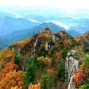 묘한향기 이미지