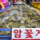 경인꽃게
