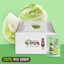 청년야채 - 김해시 장유로222번길 19 | 청년야채