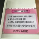 댕댕식당 이미지