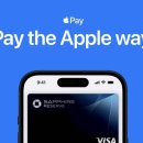 애플통상 | 애플페이 국민카드 적용 소식 및 교통카드 도입 시기 총정리