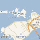 옹진해머금 이미지