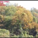 명학1리_마을회관 이미지