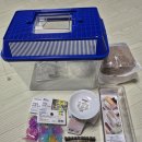 강아지탐험대동물미용업 | 인천 와일드벅스 스마일게 분양 후기, 다이소 2만원 사육장 세팅 (수명/먹이)