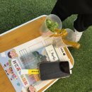 금교농장 네이버블로그