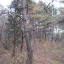 당리고개 이미지