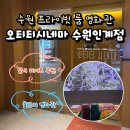 인계주공4거리 | 수원 실내데이트 오티티시네마 수원인계점 프라이빗 룸 영화관 후기