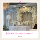 돌잔치준비]광주 소규모 돌잔치 스타파티오 계약 및 답사 후기 / 계약 소개 소개 이벤트
