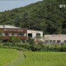 참다원 네이버블로그