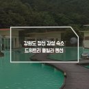 풀빌라펜션 드위트리 1 | 강원도 정선 감성 독채 숙소 드위트리 펜션 풀빌라