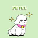 뽀아 하우스 이미지