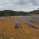 [국도5] 제천시 강제동 이미지