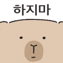 카페요거트아이스크림의정석 - 사천시 사천대로 1589-12 | 카페요거트아이스크림의정석