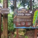 그림터