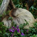 해보는집 이미지