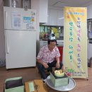 노촌경로당 Daum카페