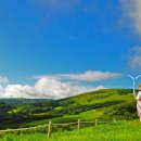 새하얀목장 이미지