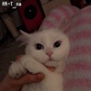 앵두미용실 이미지