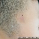 천보성 이미지