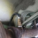 미주카센타 이미지