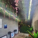 연꽃언덕 이미지