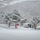 남강캠프 이미지