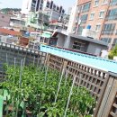 수정동농장 이미지