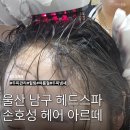 백합헤어샵 - 영천시 | 울산 헤드스파 손호성 헤어 아르떼 두피냄새 힐링 두피관리