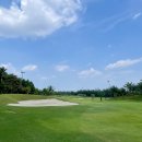 베트남 호치민 떤선녓cc 골프장 방문후기 (Tan Son Nhat Golf Course)
