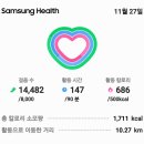 닭집에비닐을치고수련은물을채워비닐과보온덮개를덮어동해방지를지하수모터동파방지를위해헌옷으로모터실빈공간충진을14,482보10.32km 이미지