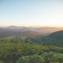 자연으로Ⅰ 이미지