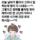 인하카마스타 이미지