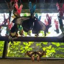 나비부화장 이미지