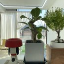 이로운 펫살롱 이미지