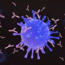 365종합의원 이미지