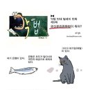 금산분리 완화법이 통과 된다고 합니다. 심각한 일입니다 !! 이미지