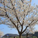 우리나현유치원 이미지