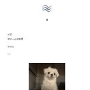 버큼아띠 | 관계한다는 것