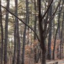 무지개 동산 이미지