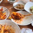 용연사 송해공원맛집 뷰가좋은 맛집 후기 [윤이네갑오징어]