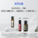 더자스민 이미지