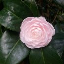 보리수농장 이미지