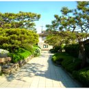 서일식당 이미지