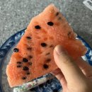 롯데마트아가방겔러리 이미지