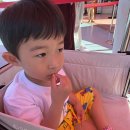 바이크월드 | 34개월 남아 경주월드 주말 오후권 후기 •3•