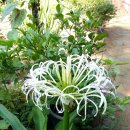 박달농장 이미지