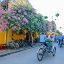 센스여행사(주) 이미지