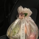 대현새롬 | 복작복작 와글와글 했던 2월 일상