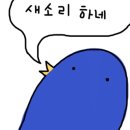멍글멍글 이미지